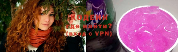 мдпв Новозыбков