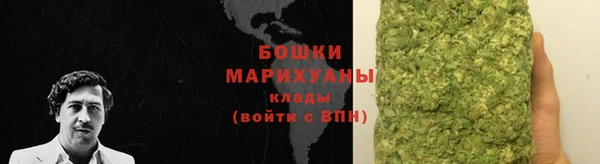 мдпв Новозыбков