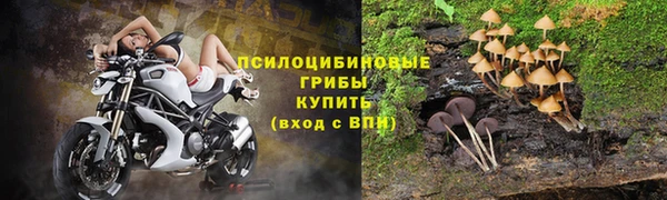 мдпв Новозыбков