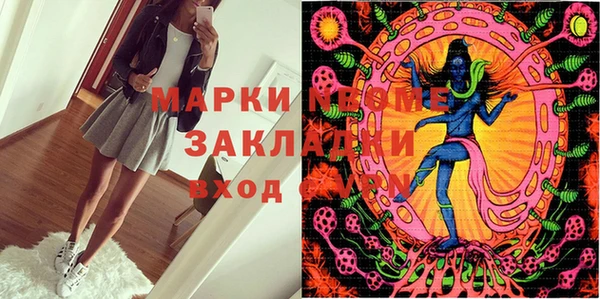 мдпв Новозыбков