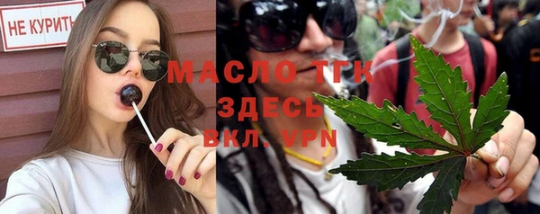 мдпв Новозыбков