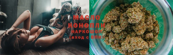 мдпв Новозыбков