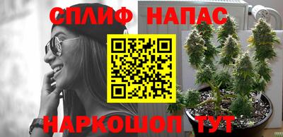 гашиш Балахна