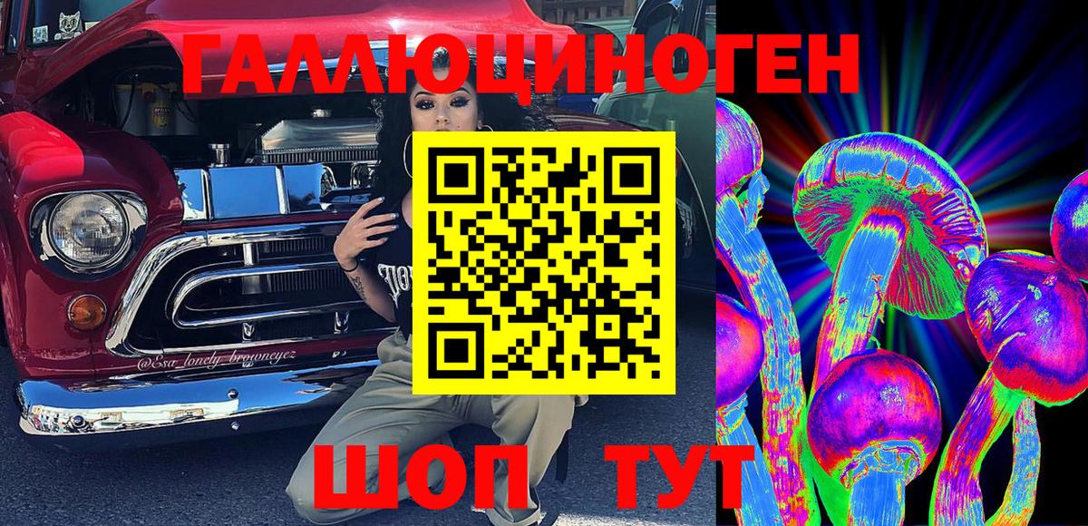 даркнет сайт  Котовск  Псилоцибиновые грибы Psilocybine cubensis 