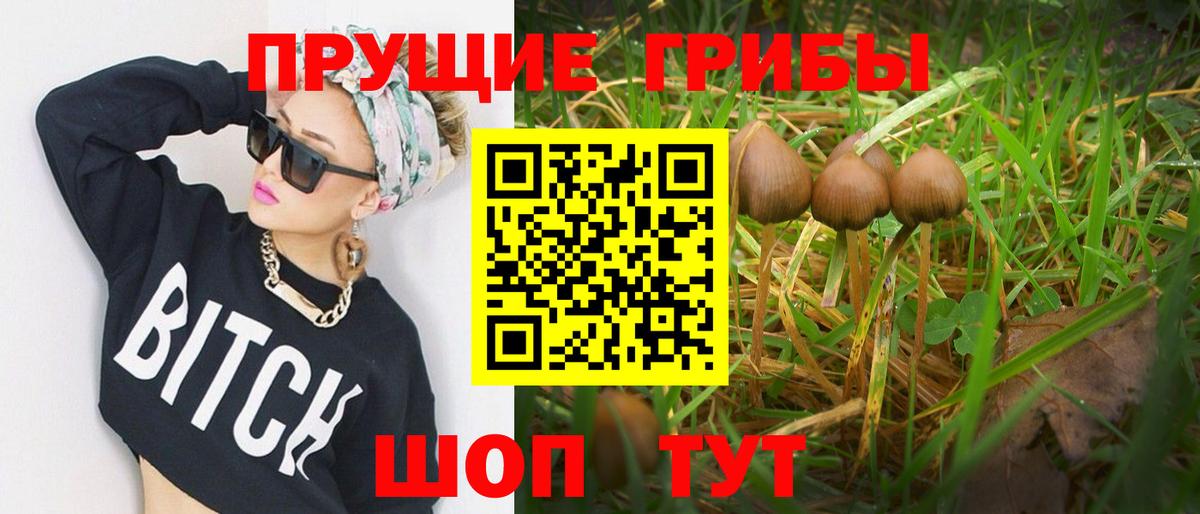 купить закладку  Вход с VPN  Котовск  Псилоцибиновые грибы прущие грибы 