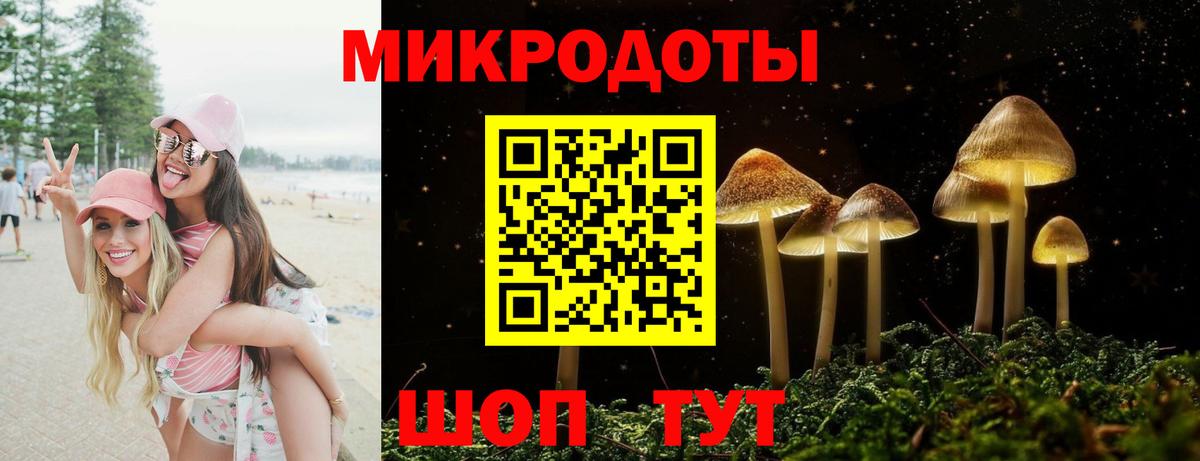 Галлюциногенные грибы Cubensis Котовск